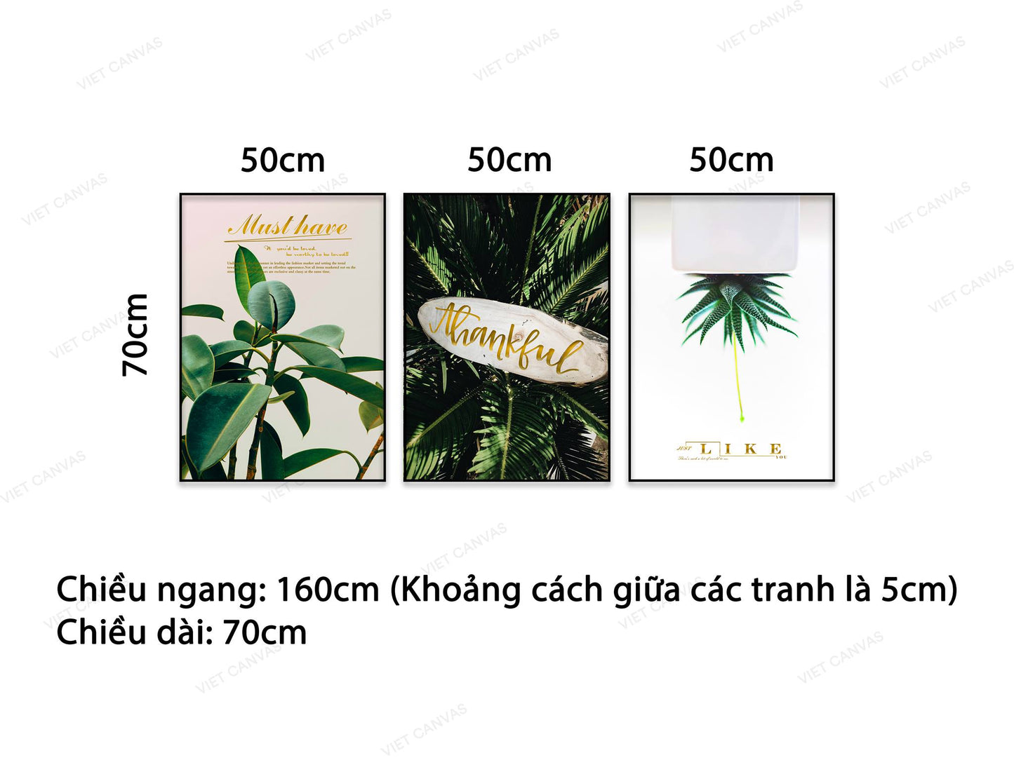 Bộ 3 Tranh Lá Cây Xanh - NT935