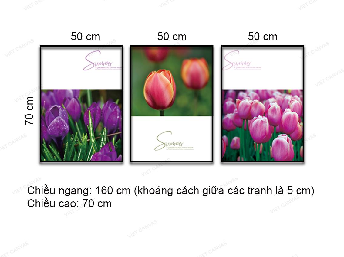 Bộ 3 Tranh Hoa Tulip - NT913