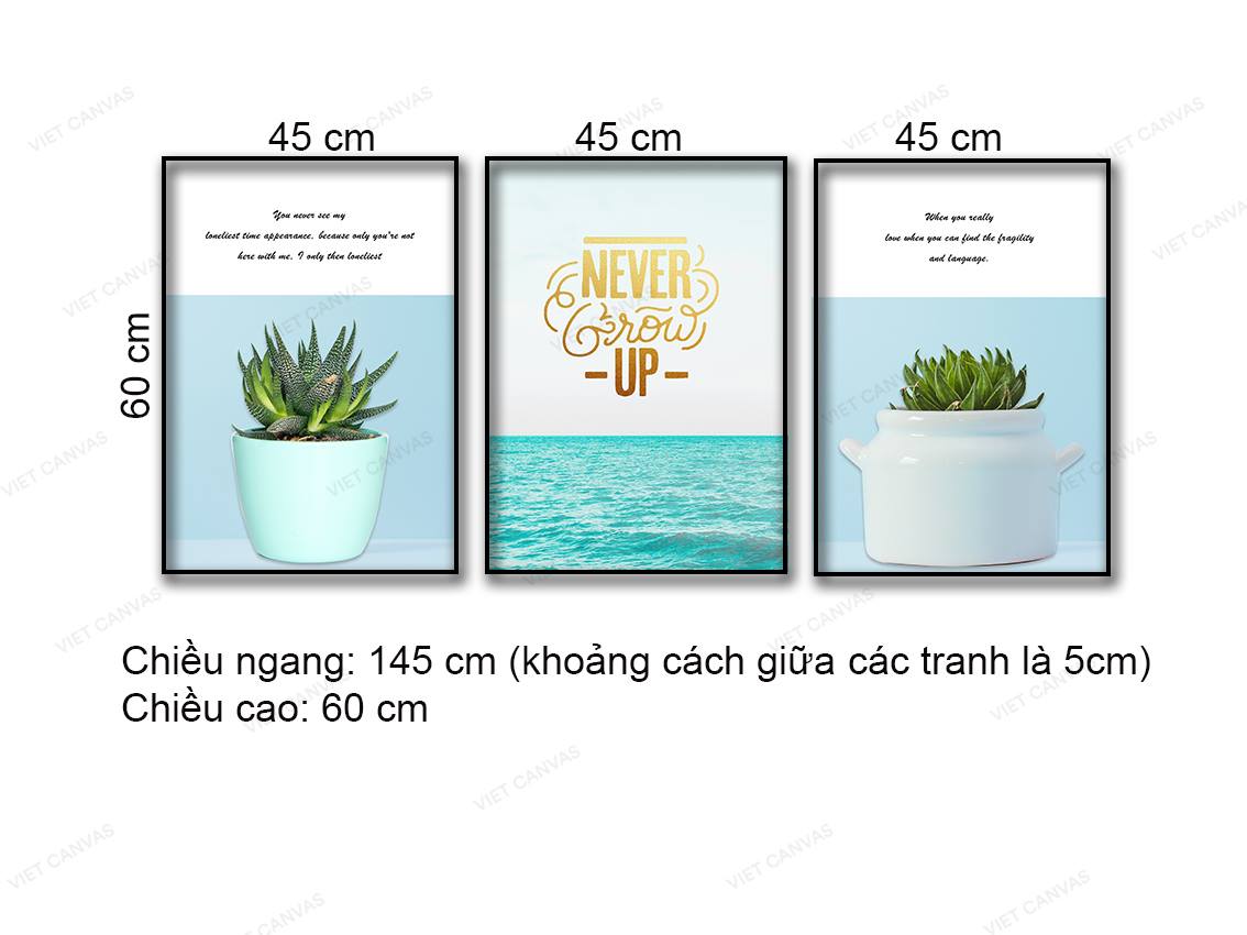 Bộ 3 Tranh Xương Rồng, Sen Đá Và Biển Xanh - NT954
