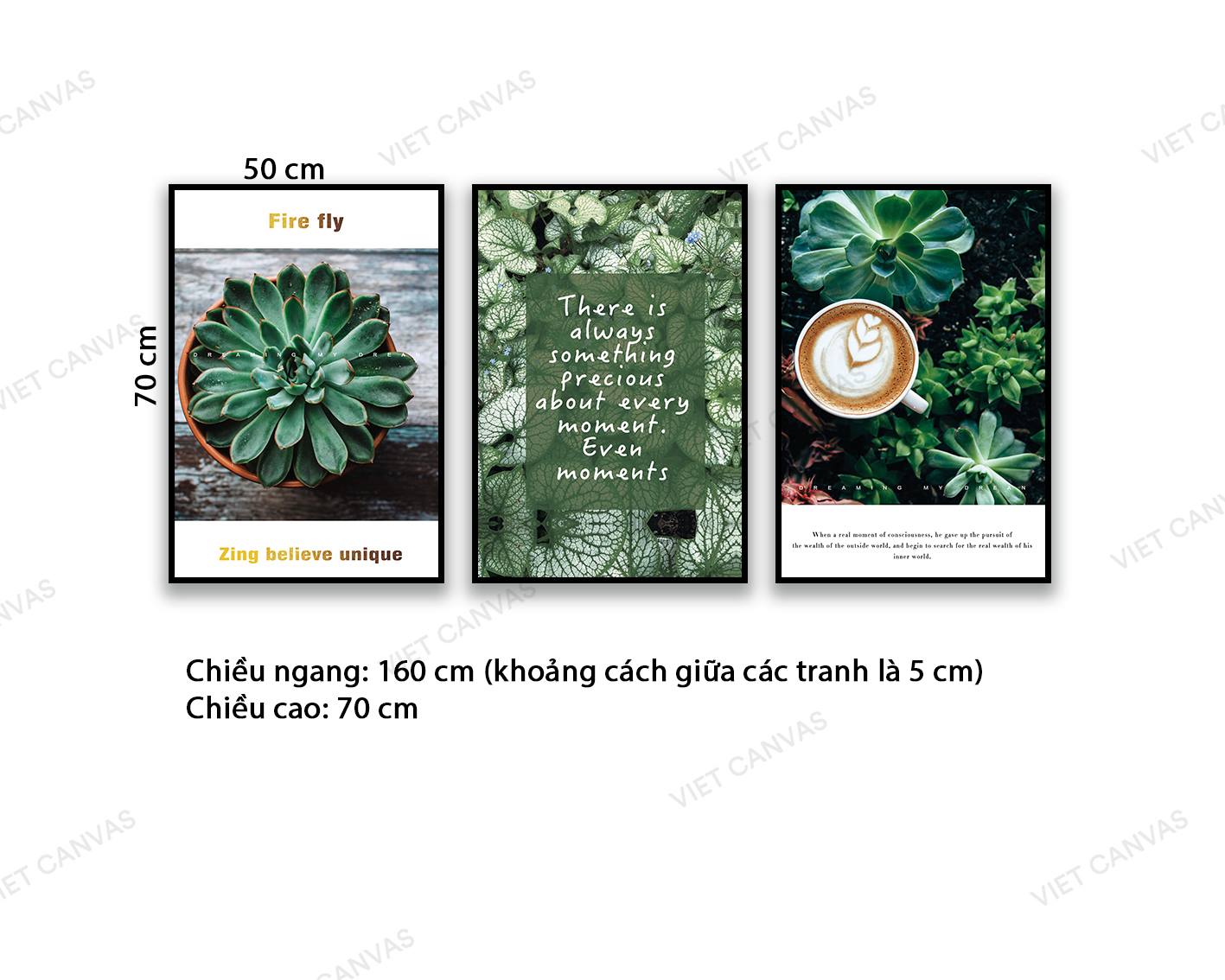 Bộ 3 Tranh Sen Đá, Lá Bèo Và Rong - NT831