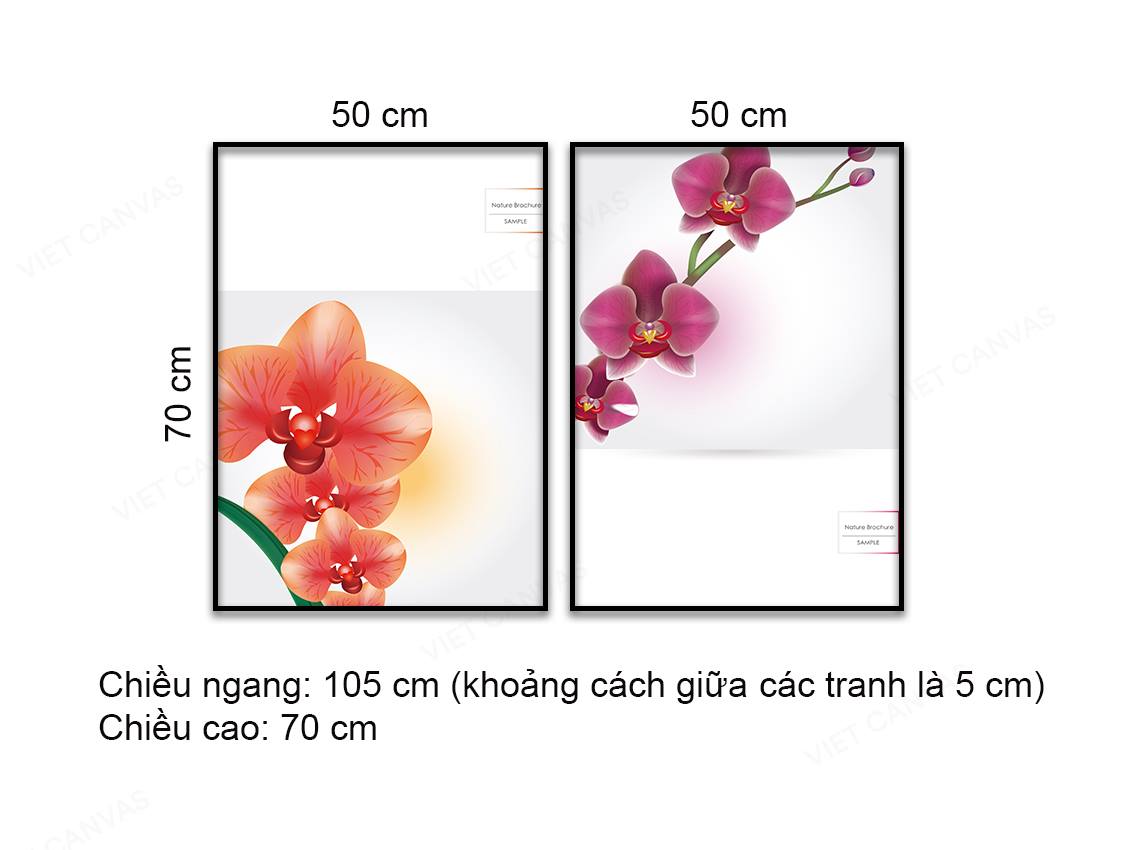 Bộ 2 Tranh Lan Hồ Điệp - NT984