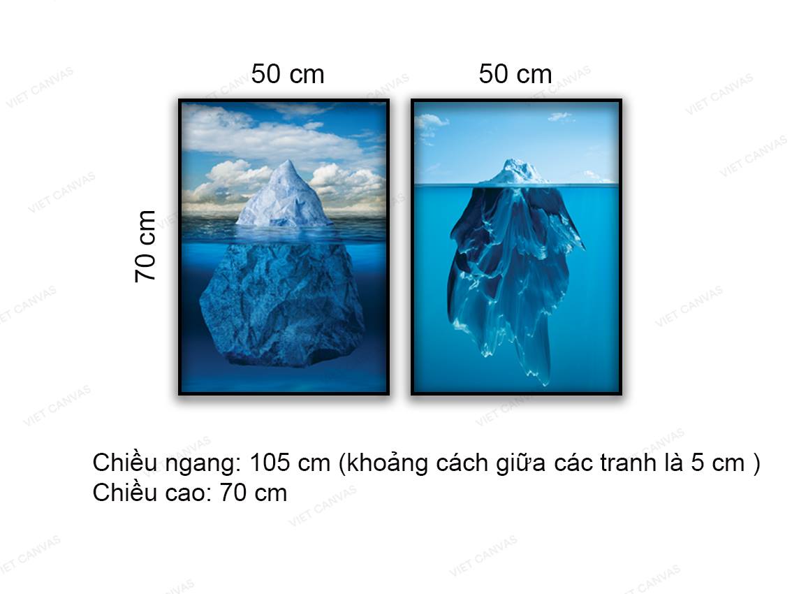 Bổ 2 Tranh Tảng Băng Chìm - NT893