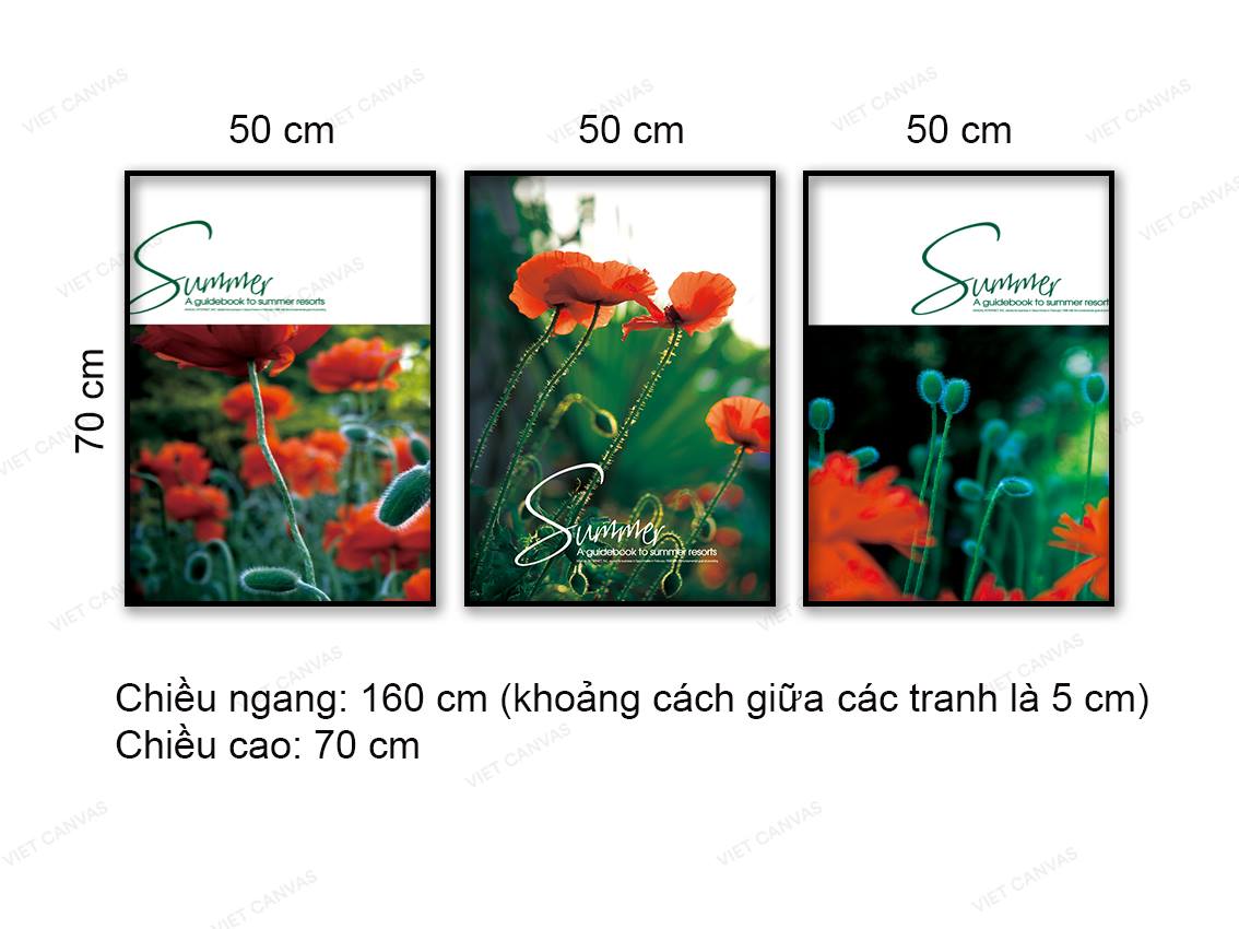 Bộ 3 Tranh Vườn Hoa Khoe Sắc - NT911