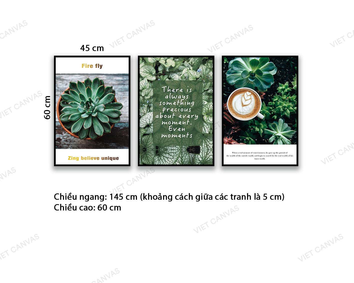 Bộ 3 Tranh Sen Đá, Lá Bèo Và Rong - NT831