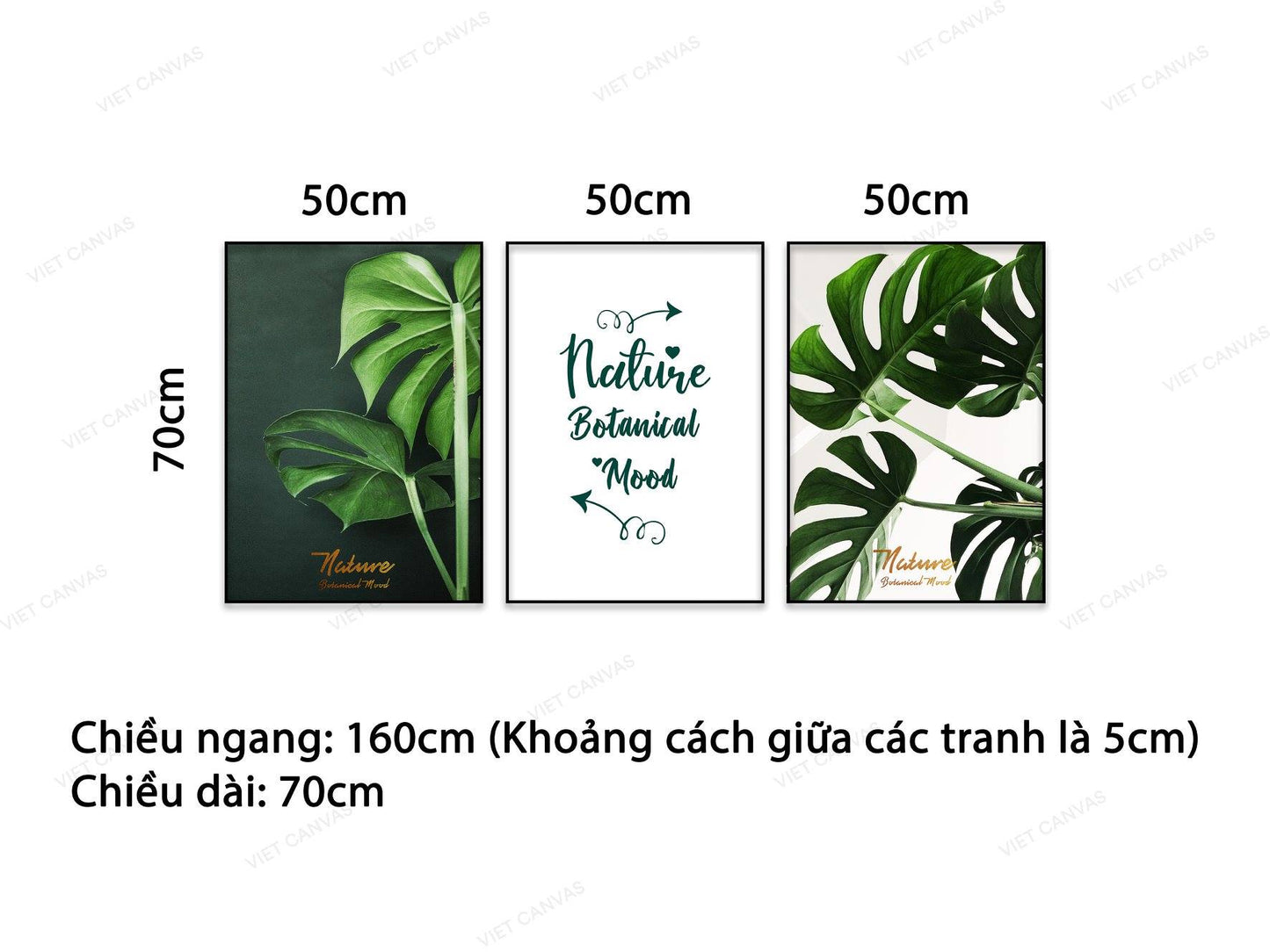 Bộ 3 Tranh Lá Cây Xanh Và Quotes - NT975