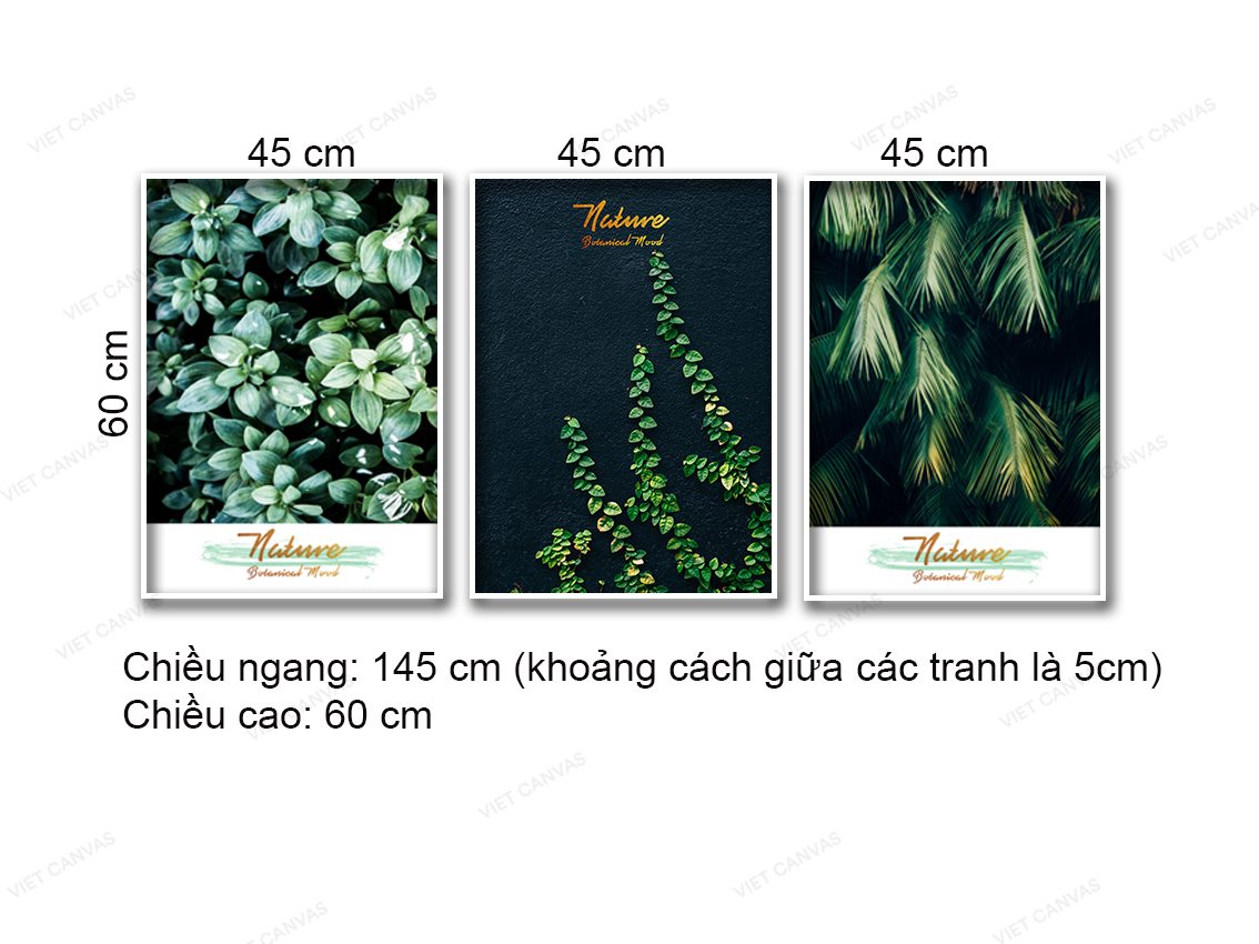 Bộ 3 Tranh Lá Xanh - NT956