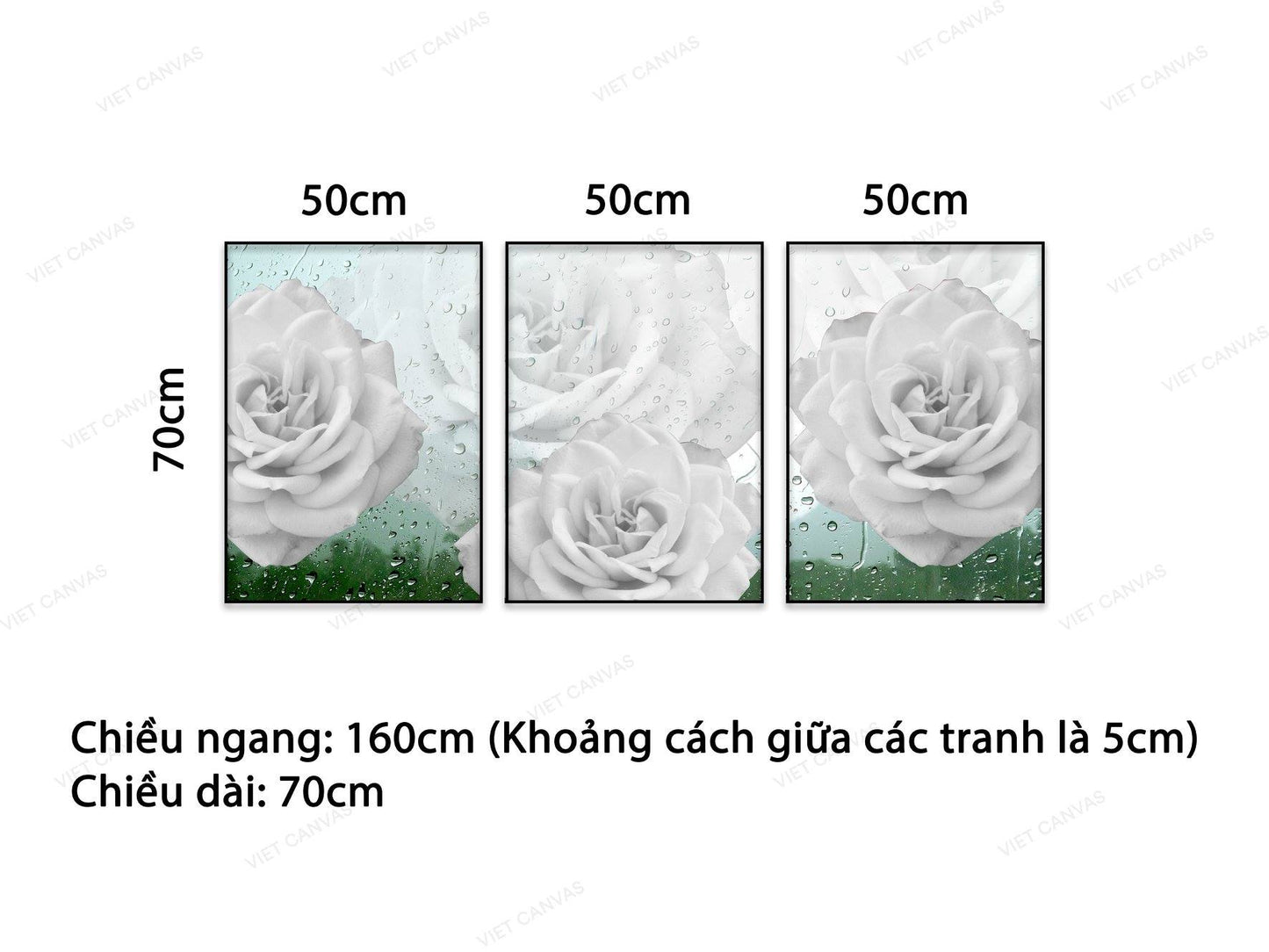 Bộ 3 Tranh Bông Hồng Trắng Quý Phái - NT942