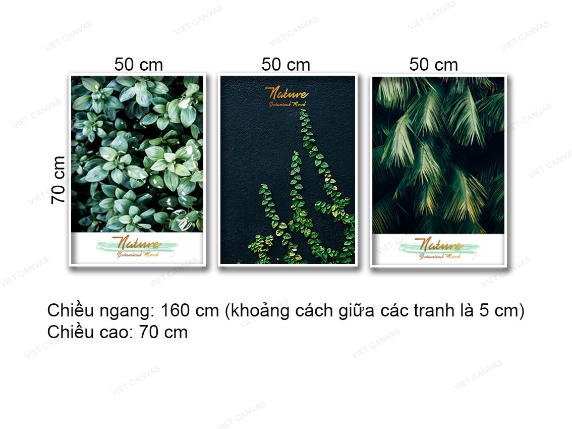 Bộ 3 Tranh Lá Xanh - NT956