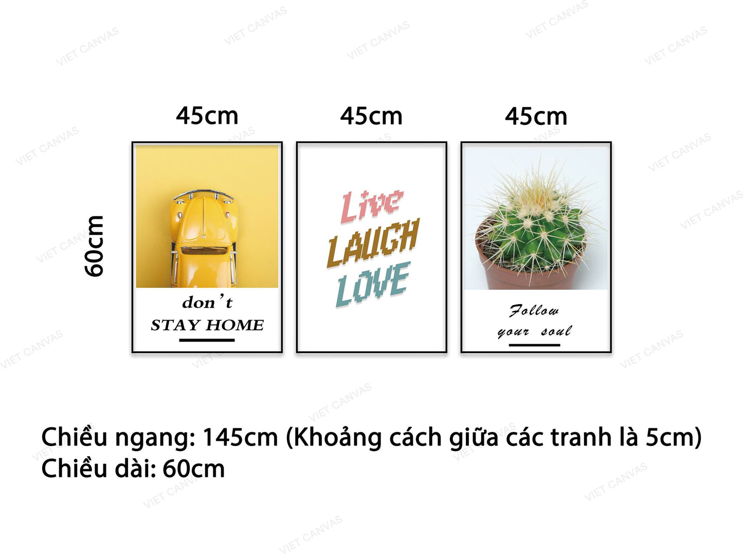 Bộ 3 Tranh Chiếc Xe Vàng Chậu Xương Rồng Và Quotes Live Laugh And Love - NT915