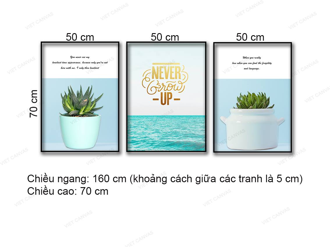 Bộ 3 Tranh Xương Rồng, Sen Đá Và Biển Xanh - NT954