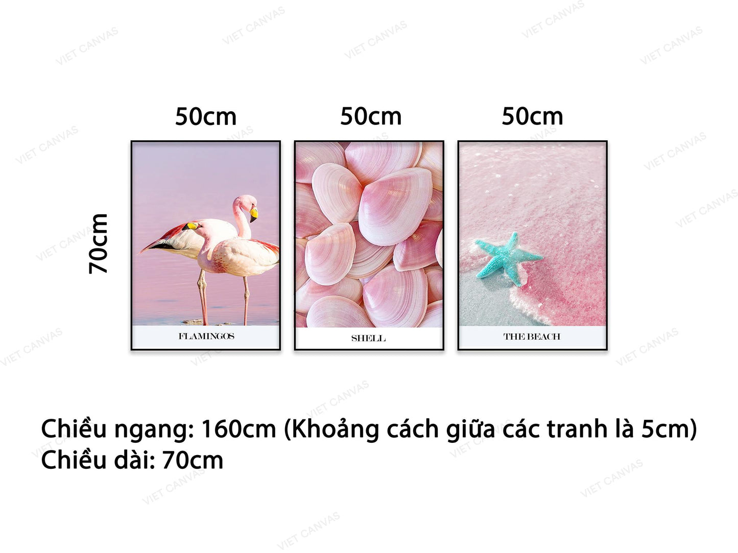 Bộ 3 Tranh Hồng Hạc, Sò Và Sao Biển - VB938