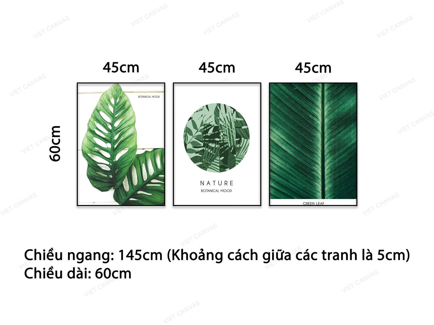 Bộ 3 Tranh Lá Cây Xanh - HD051