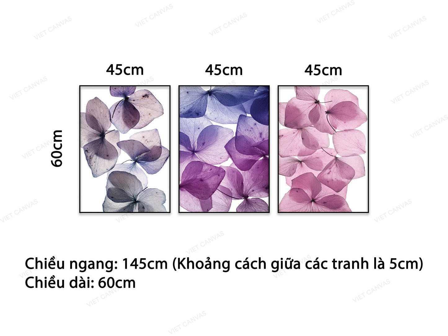 Bộ 3 Tranh Hoa Tím - HD072