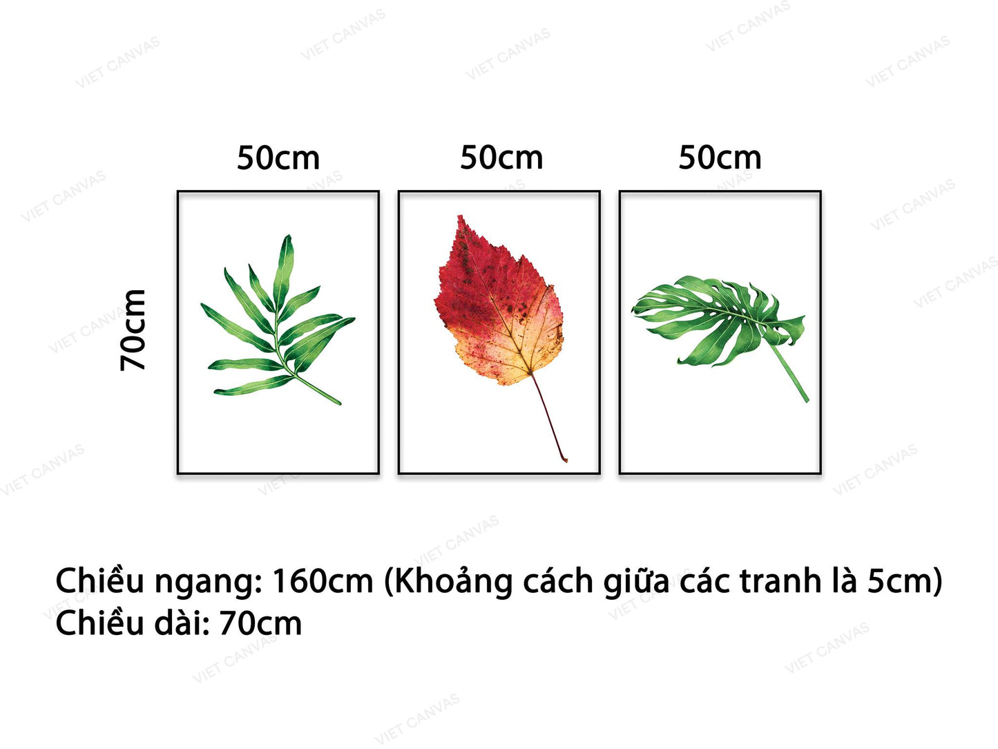 Bộ 3 Tranh Lá Cây Đơn Giản - HD047