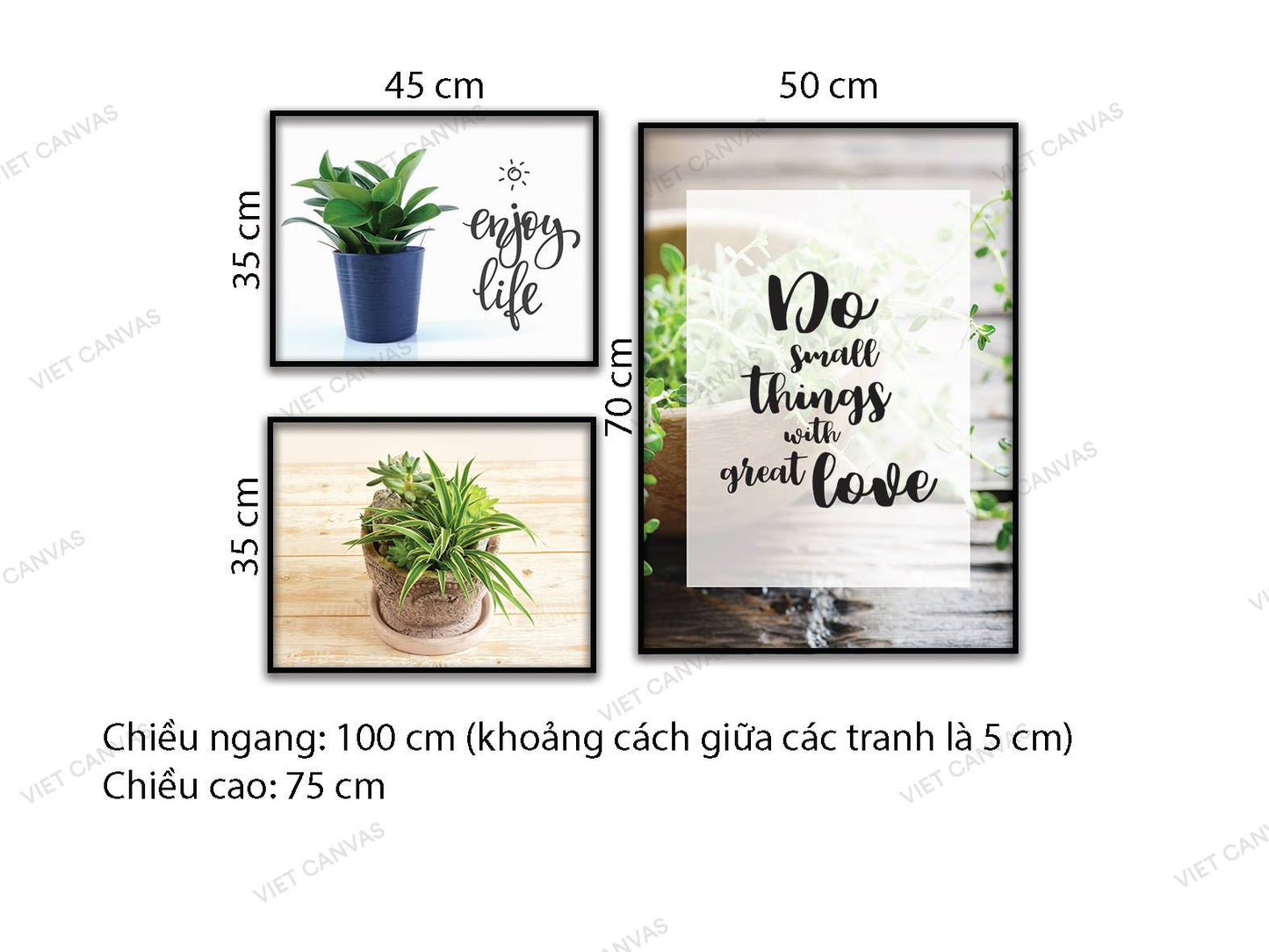 Bộ 3 Tranh Chậu Cây Và Quotes - HD133