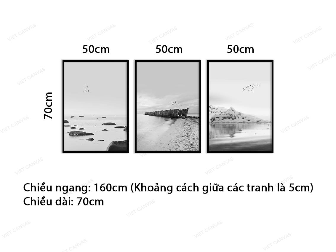 Bộ 3 Tranh Bờ Biển Băng Giá - VB973
