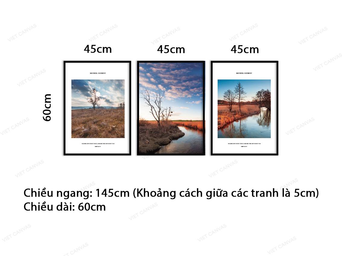 Bộ 3 Tranh Cây Cỏ Xác Xơ - VB997