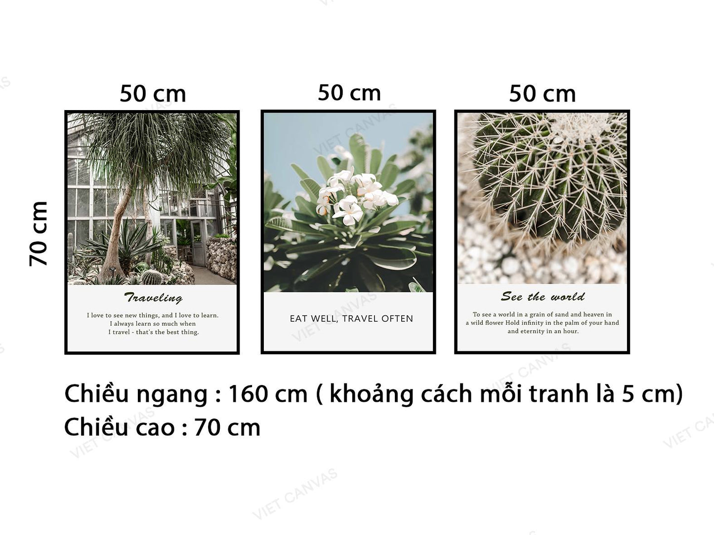 Bộ 3 Tranh Cây Xanh, Hoa Nở Và Xương Rồng - VB933