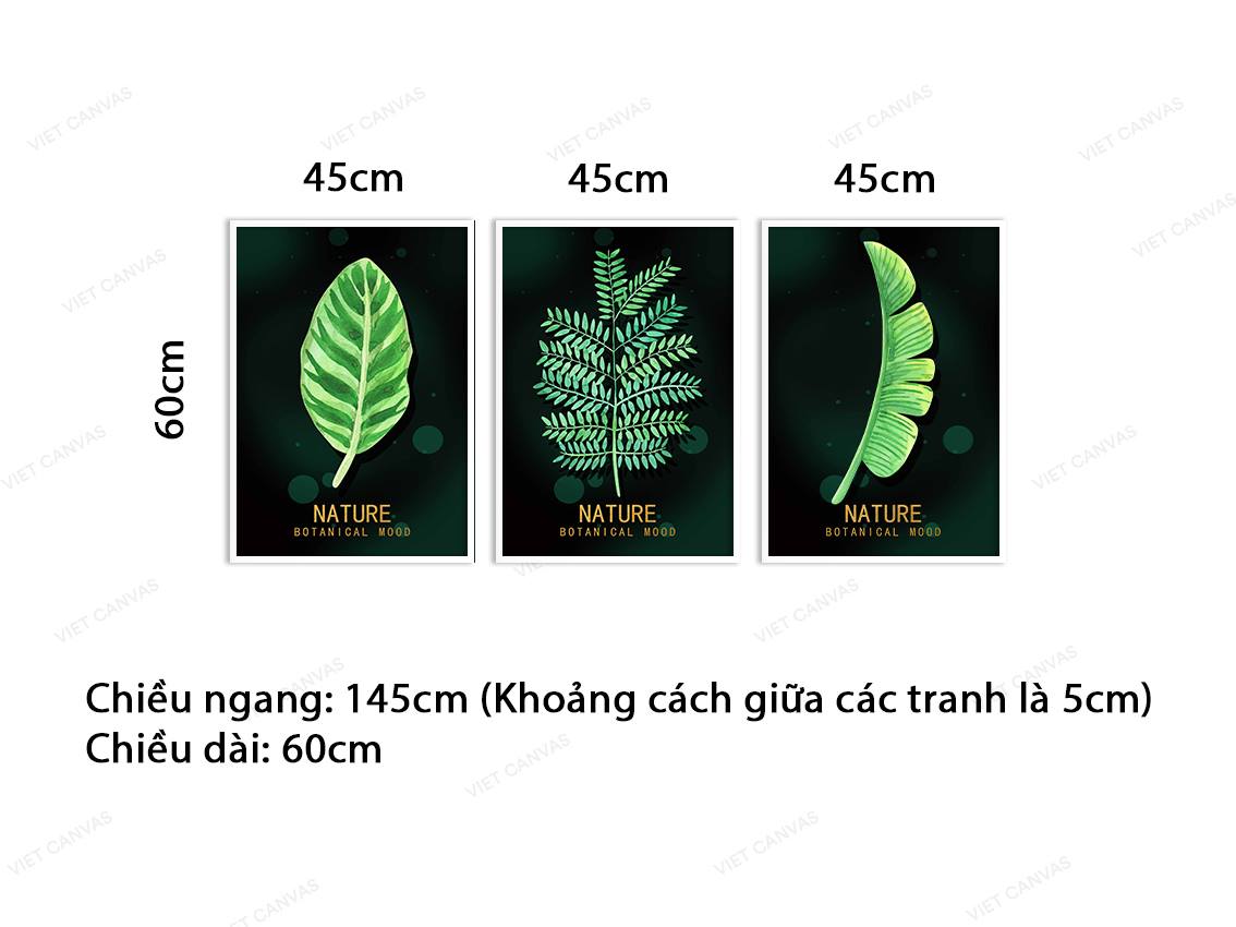 Bộ 3 Tranh Lá Cây Xanh - VB954