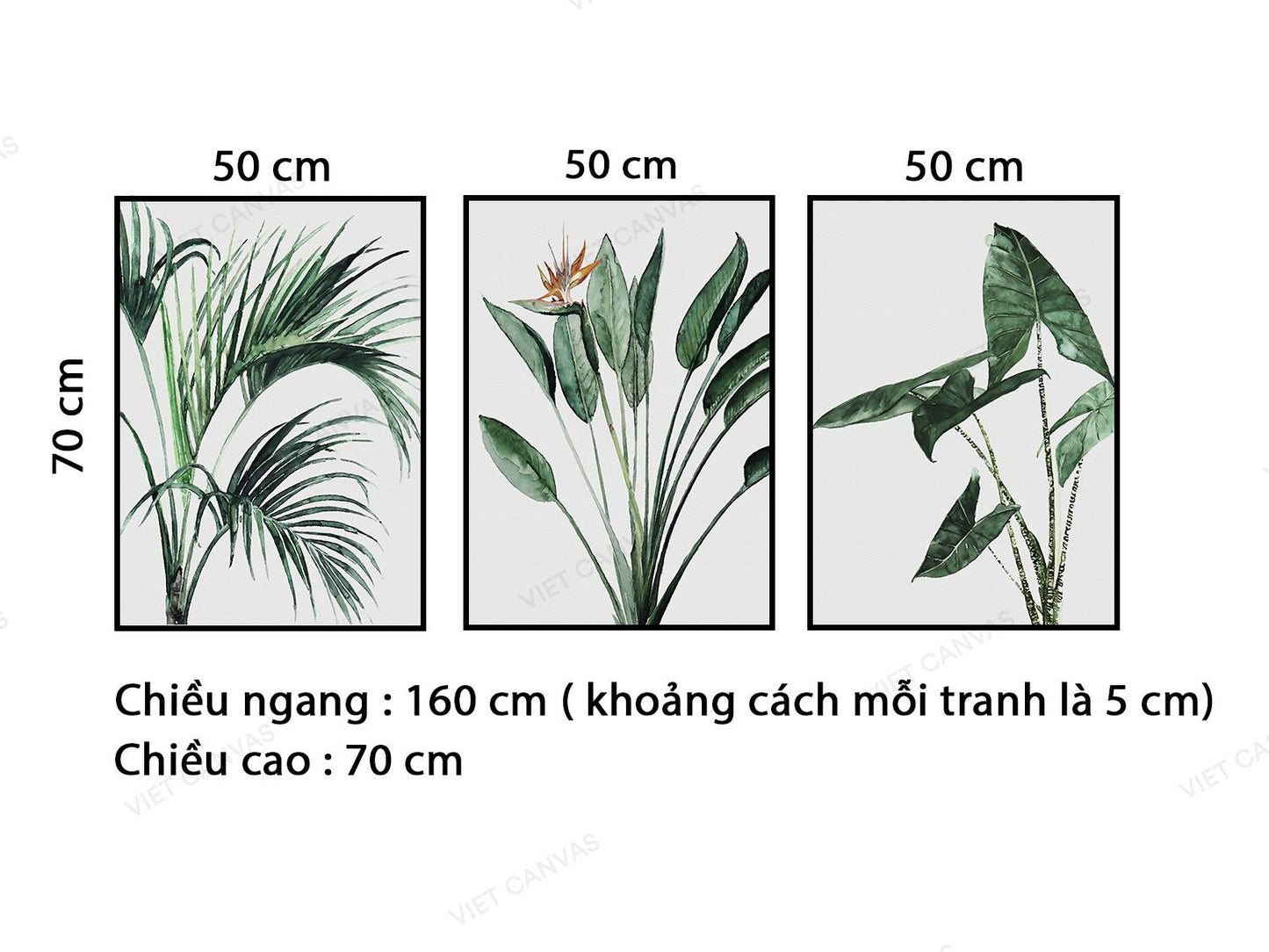 Bộ 3 Tranh Lá Cây Xanh - VB935