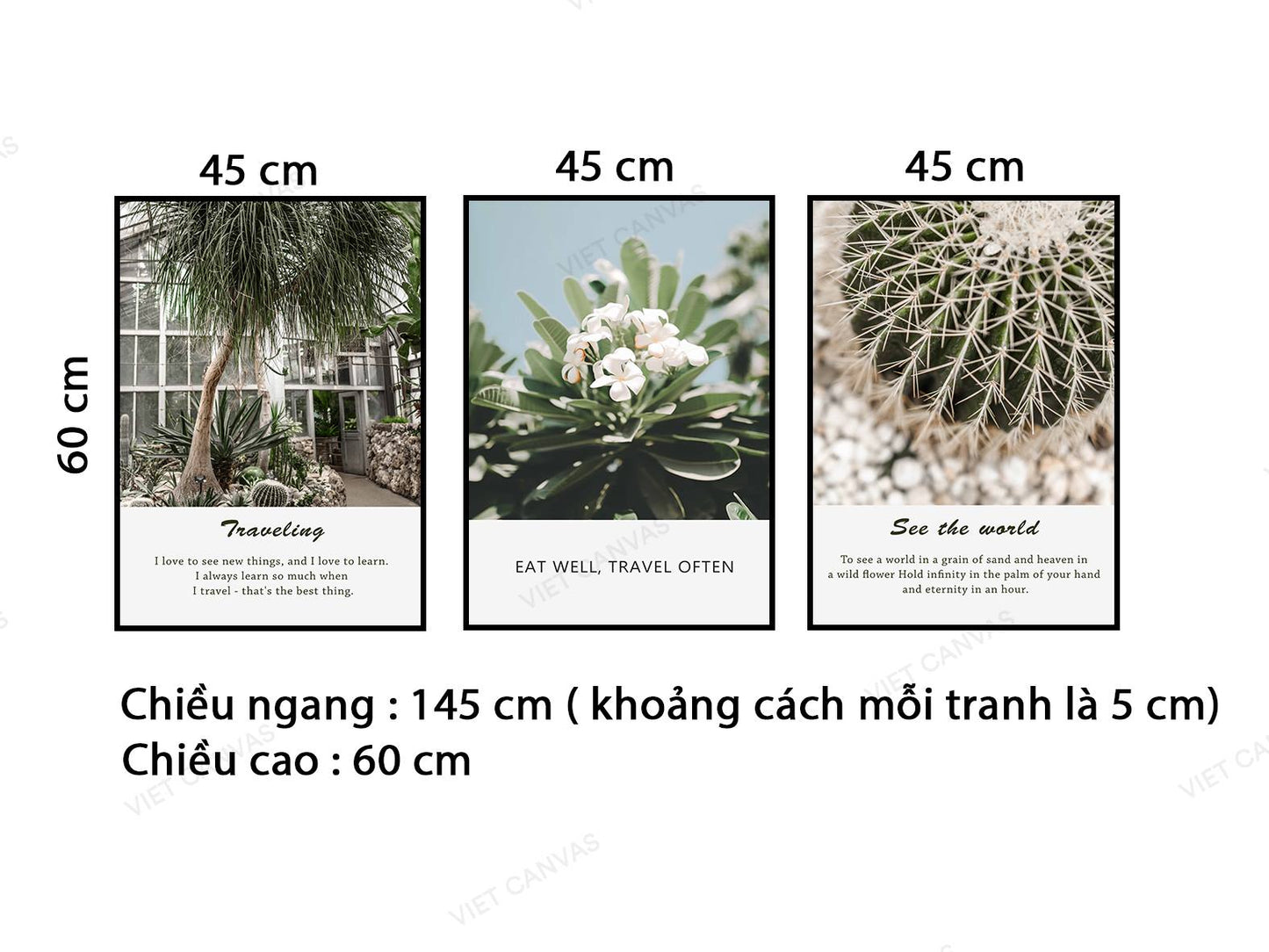 Bộ 3 Tranh Cây Xanh, Hoa Nở Và Xương Rồng - VB933