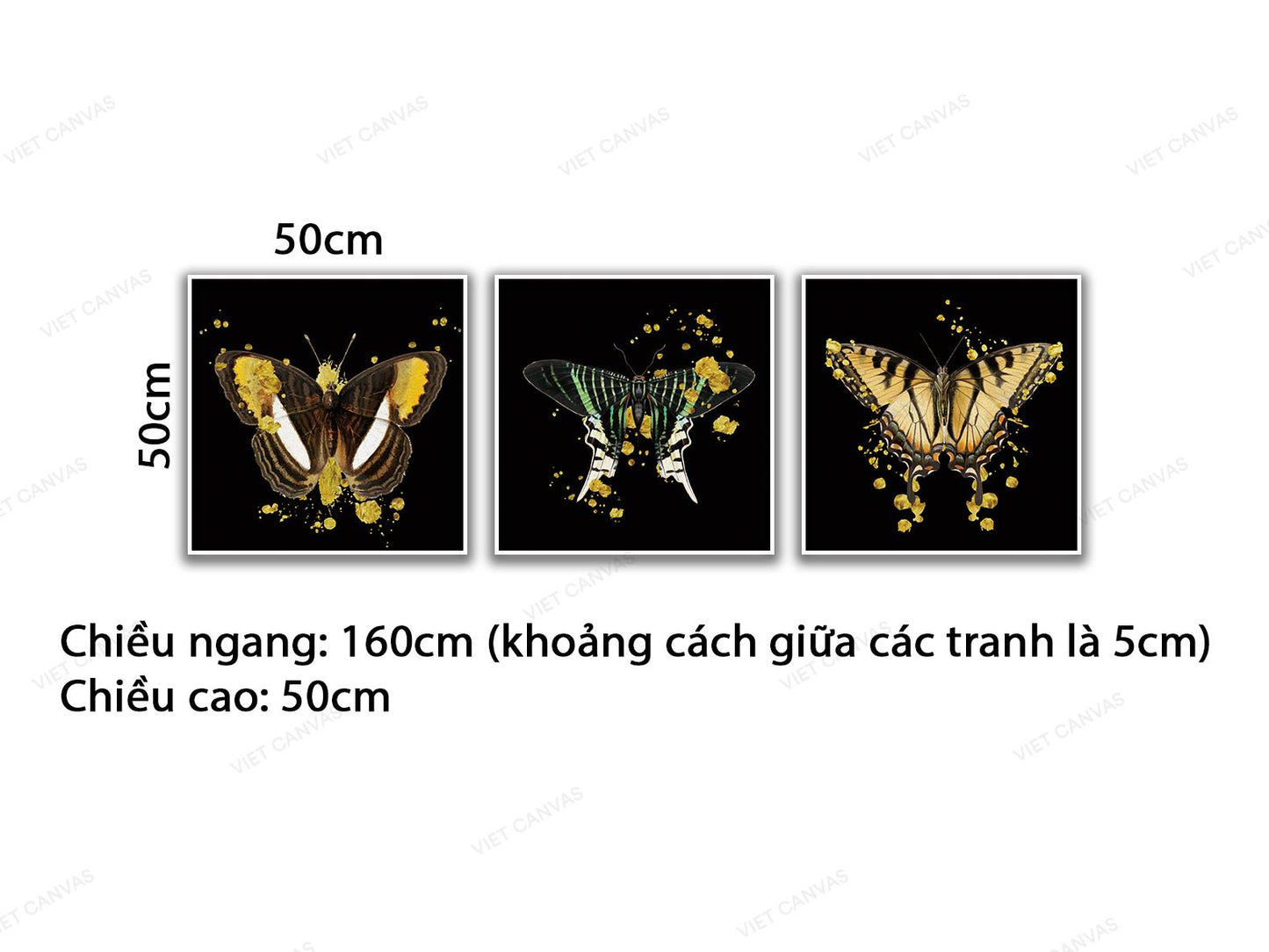 Bộ 3 Tranh Bướm Đêm - VB957