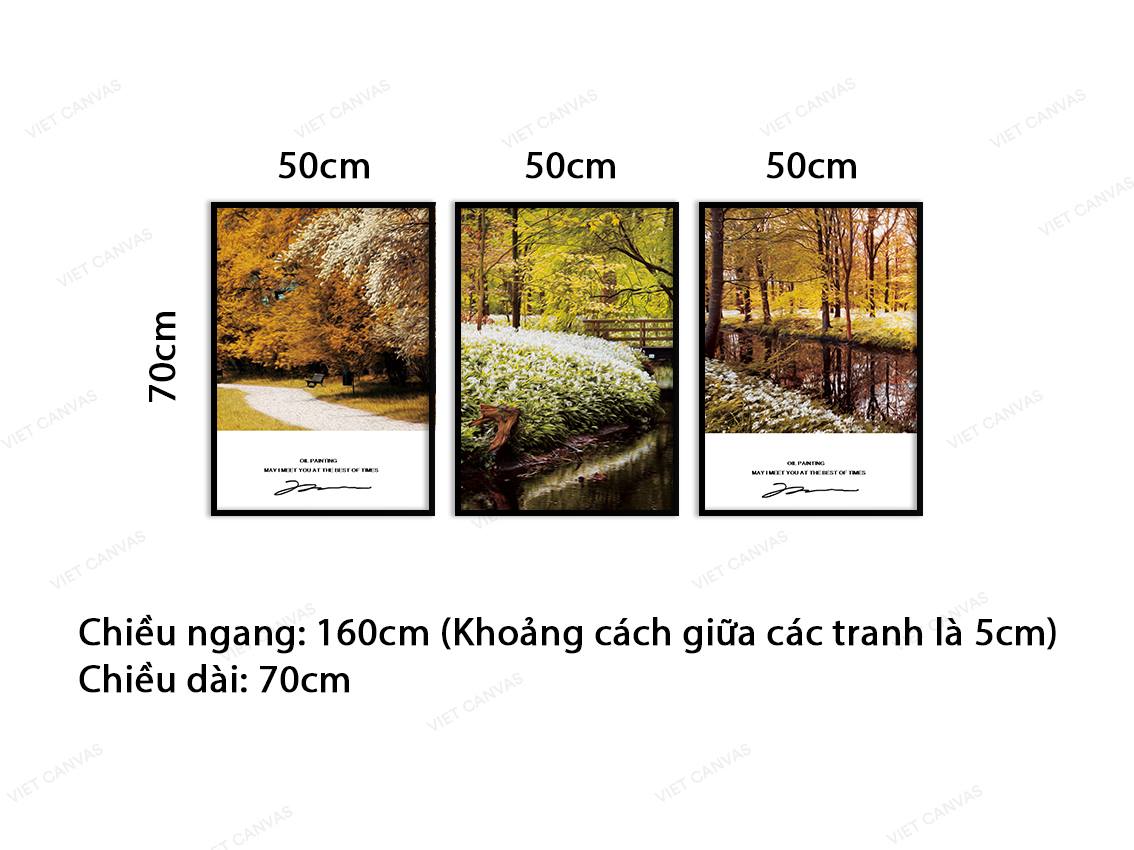 Bộ 3 Tranh Rừng Cây Vàng Mùa Thu - VA060
