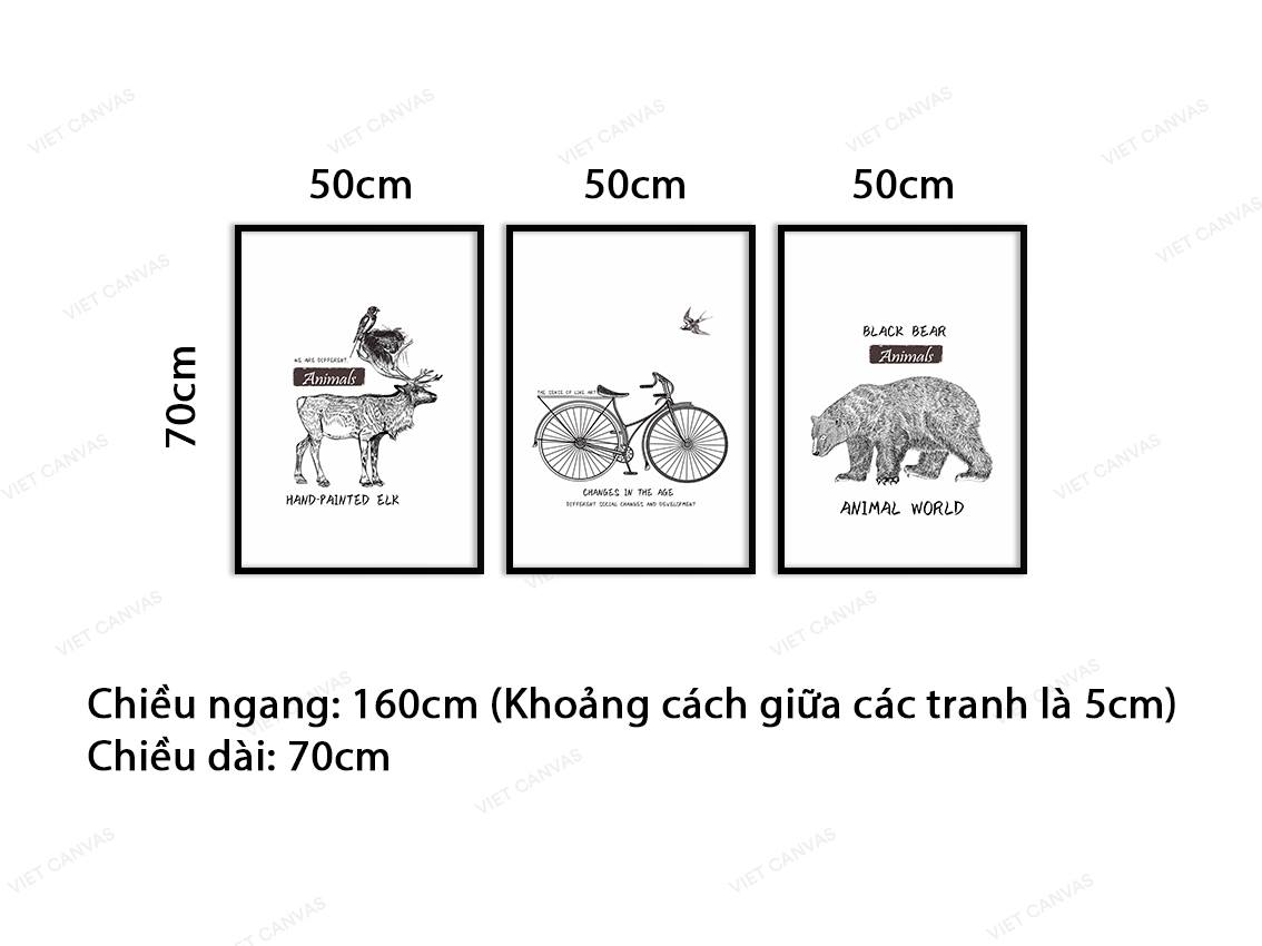 Bộ 3 Tranh Động Vật Và Chiếc Xe Đạp - VB951