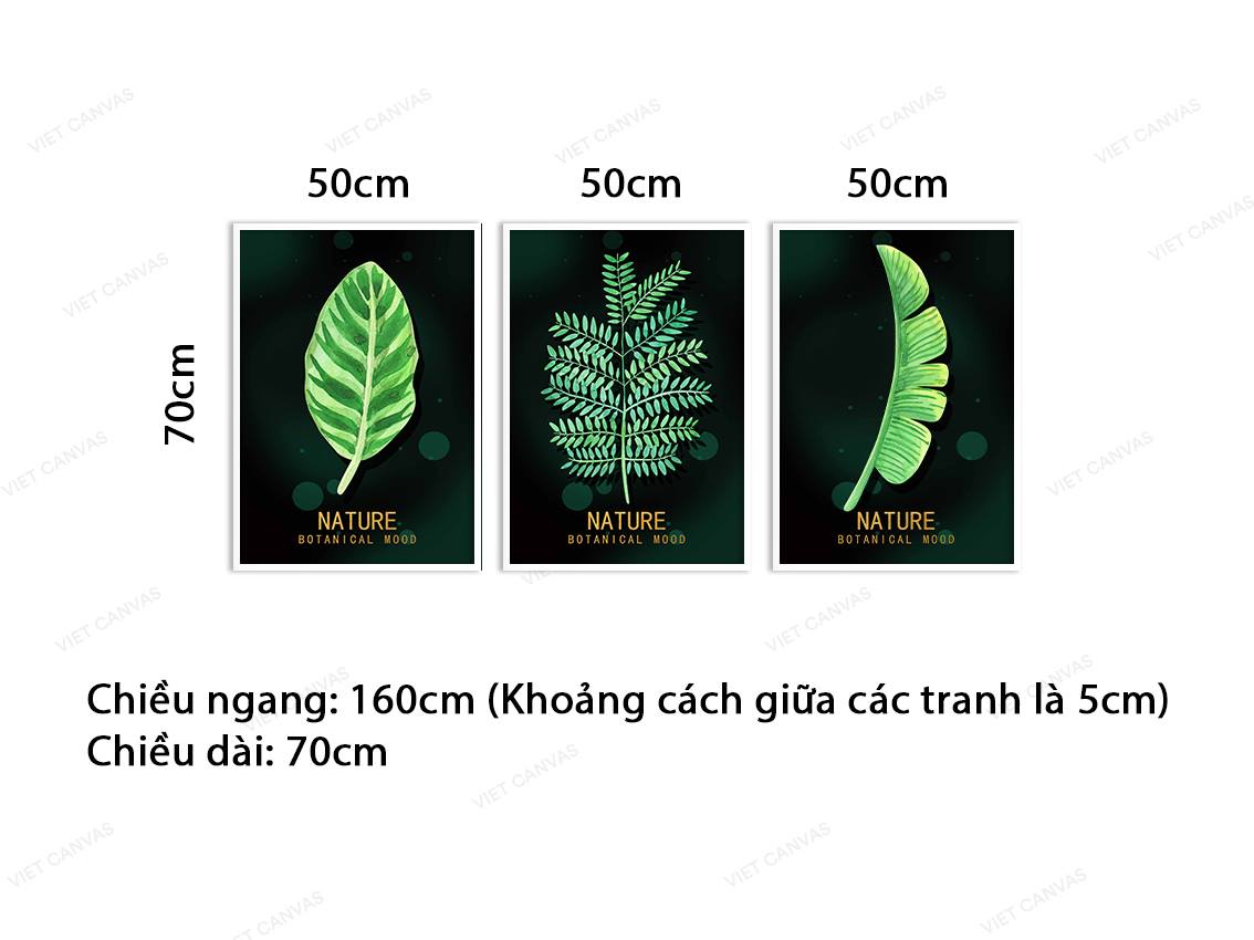 Bộ 3 Tranh Lá Cây Xanh - VB954
