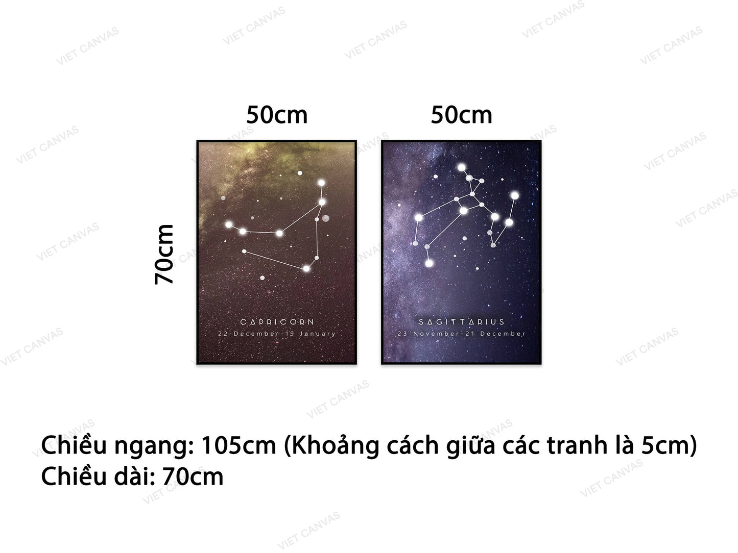 Bộ 2 Tranh Liên Kết Phân Tử - VB963