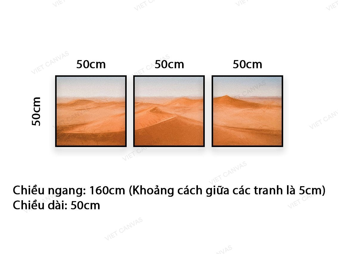 Bộ 3 Tranh Đồi Cát Rộng Lớn - VC053