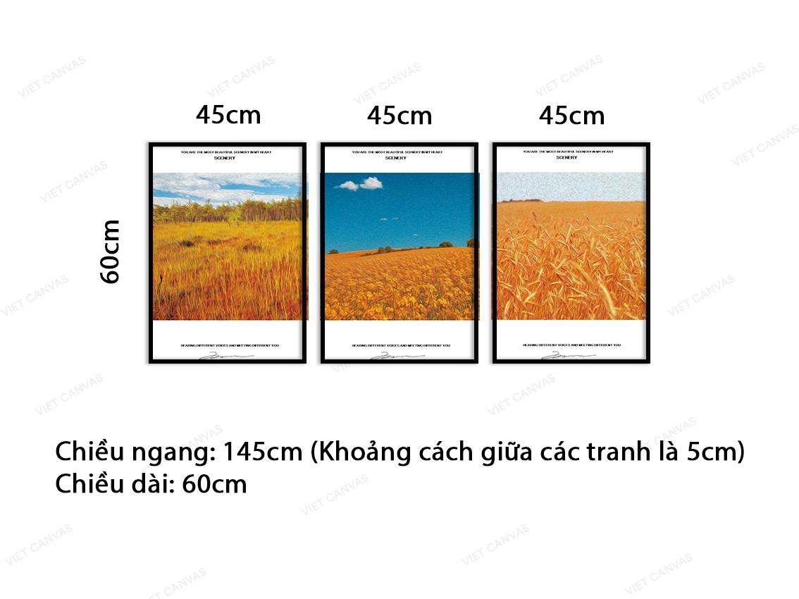 Bộ 3 Tranh Đồng Lúa Chín Bạt Ngàn - VC004