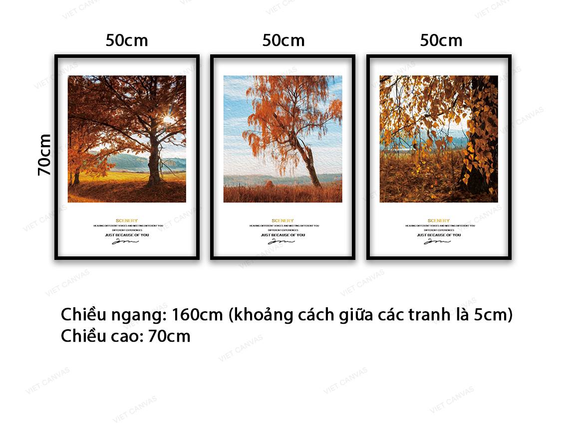 Bộ 3 Tranh Cảnh Đẹp Trời Thu - VB998