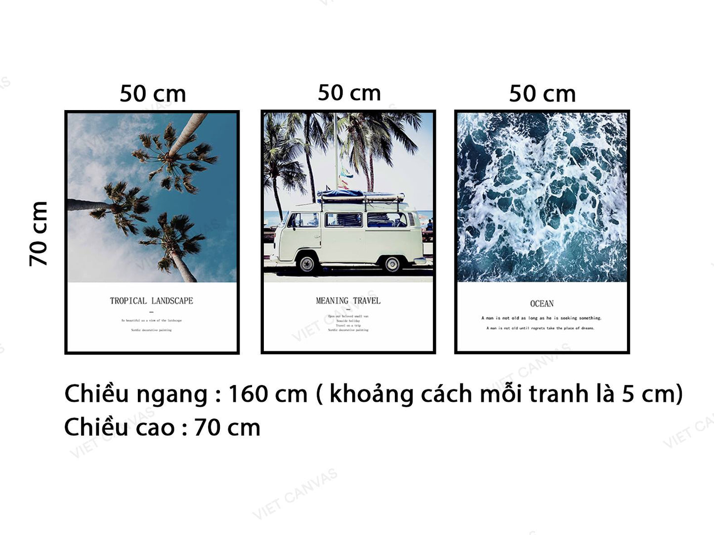 Bộ 3 Tranh Chiếc Xe, Hàng Dừa Và Bãi Biển - VB932