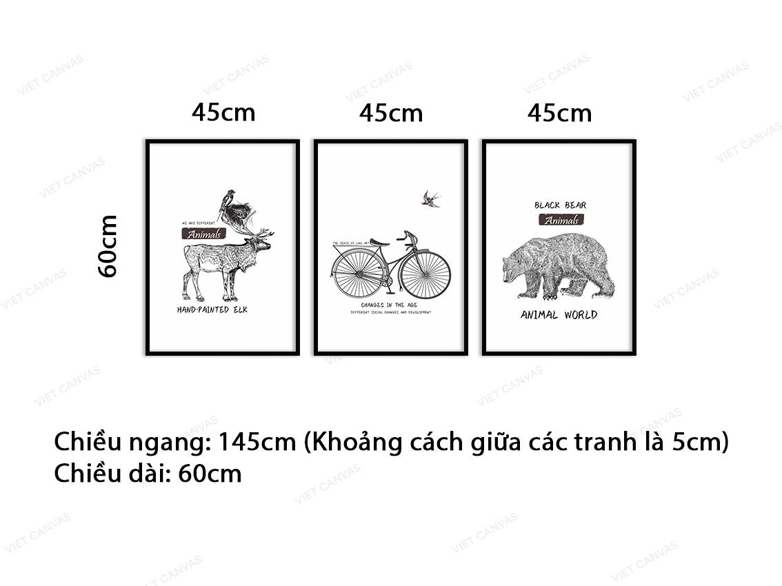 Bộ 3 Tranh Động Vật Và Chiếc Xe Đạp - VB951