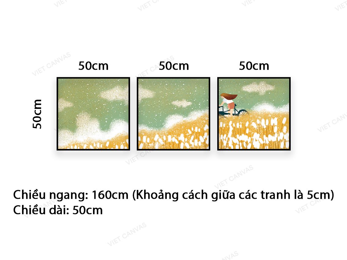 Bộ 3 Tranh Đạp Xe Giữa Đồng Lúa - VC041