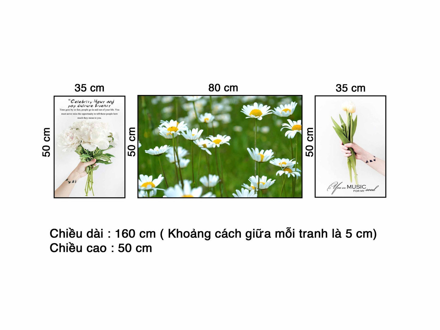 Bộ 3 Tranh Hoa Cúc Trắng - VB555