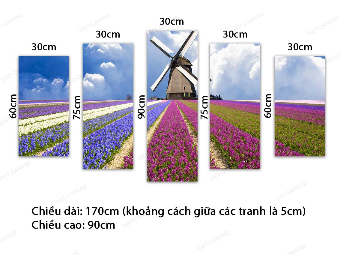 Bộ 5 Tranh Rừng Hoa Oải Hương Và Cối Xoay Gió - VC109