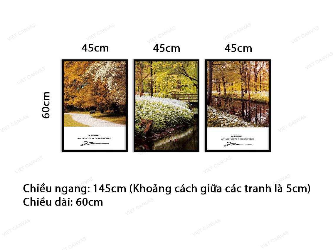 Bộ 3 Tranh Rừng Cây Vàng Mùa Thu - VA060