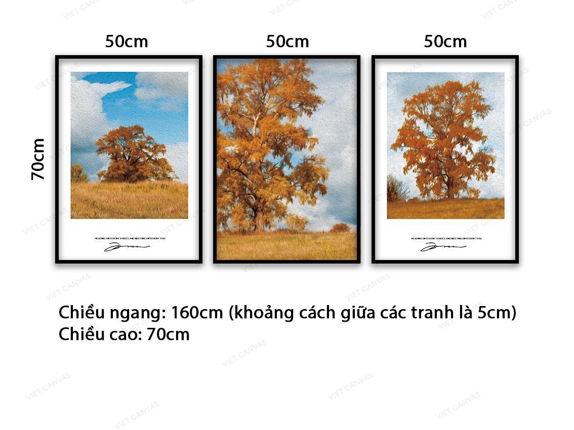 Bộ 3 Tranh Cây Giữa Đồng Cỏ - VC003