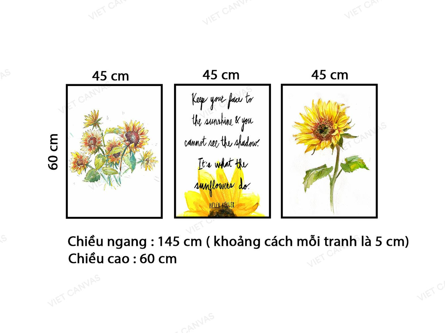 Bộ 3 Tranh Hoa Hướng Dương - VB931