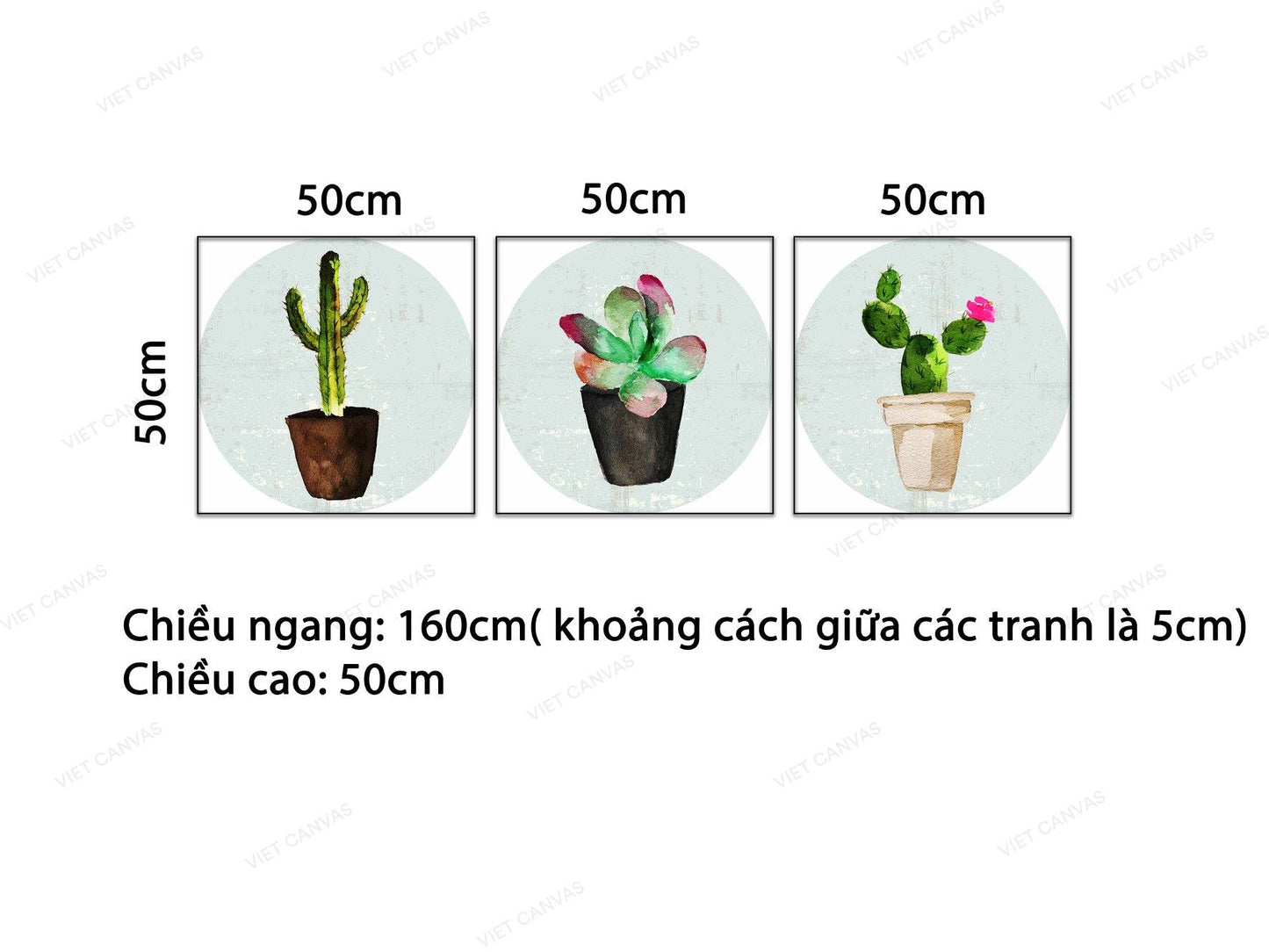 Bộ 3 Tranh Chậu Xương Rồng Xinh Xắn - VB337