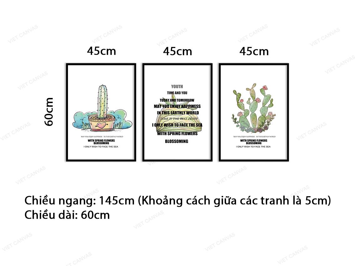 Bộ 3 Tranh Hoa Xương Rồng - VC877