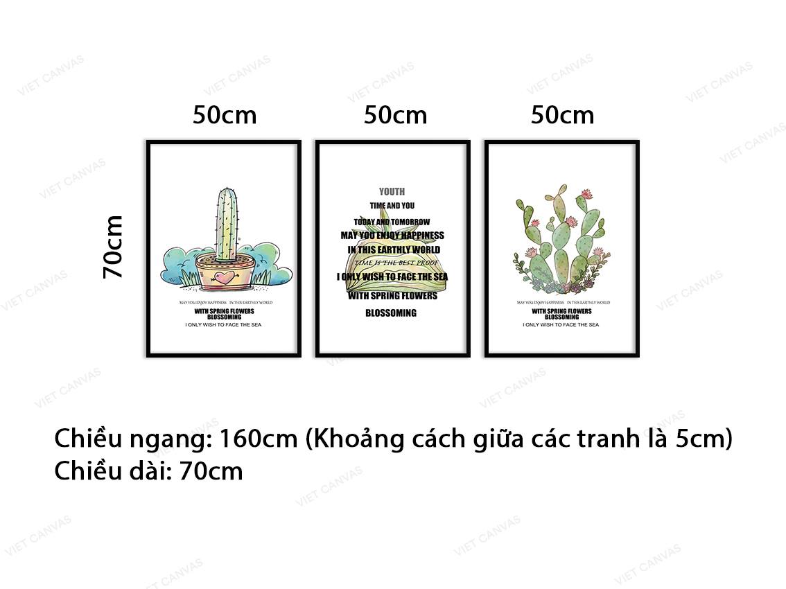 Bộ 3 Tranh Hoa Xương Rồng - VC877