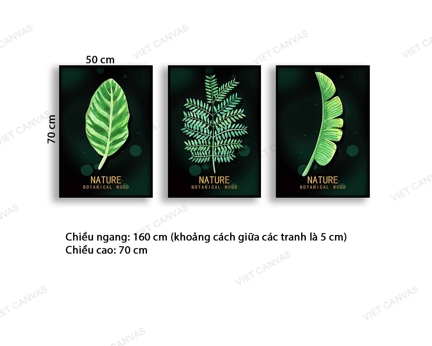 Bộ 3 Tranh Ba Chiếc Lá - VB954