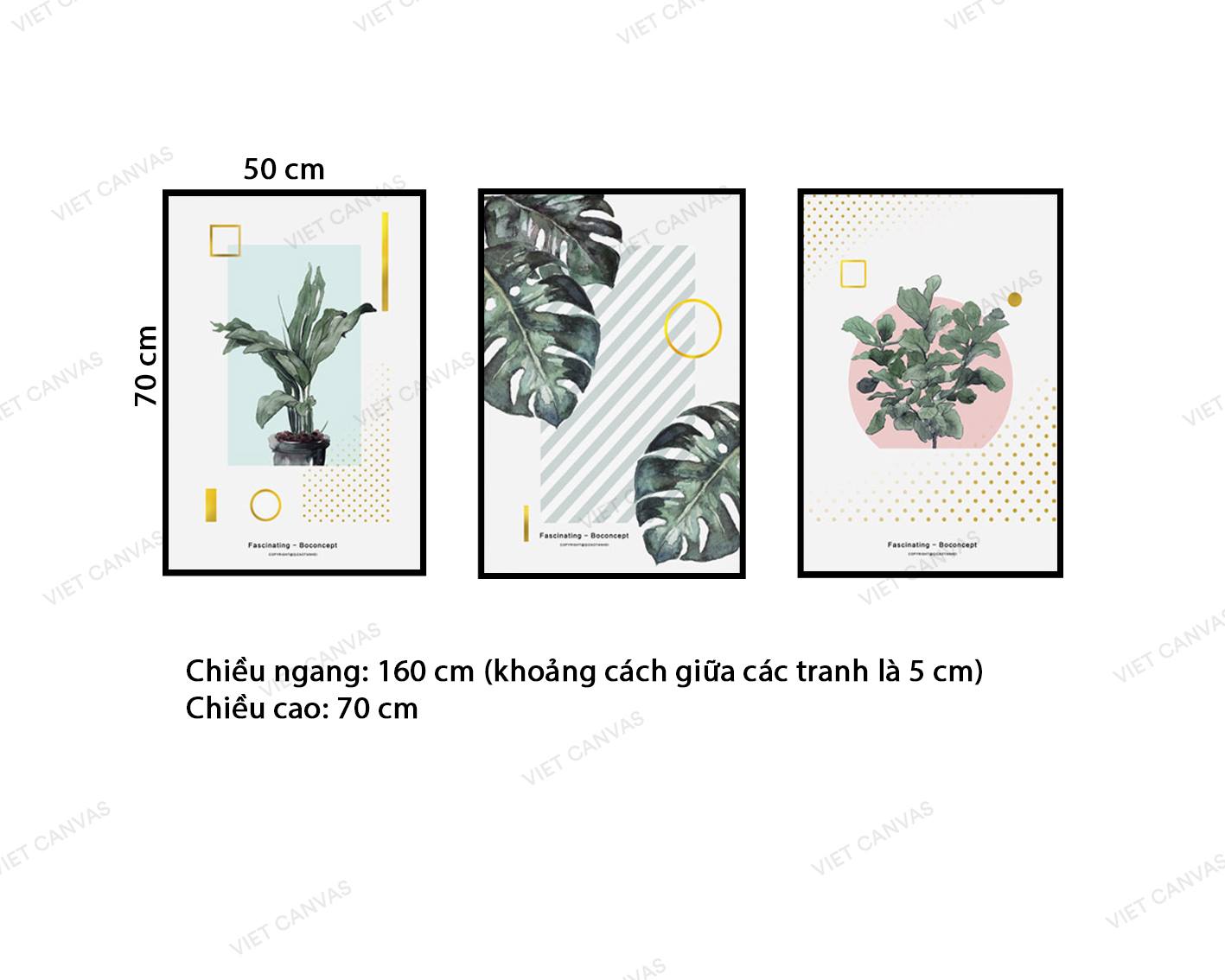 Bộ 3 Tranh Cành Lá Xanh - VZ036.2