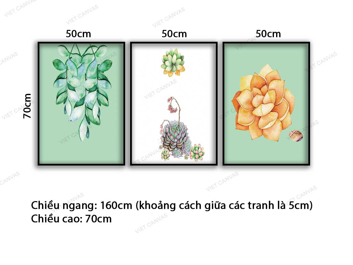 Bộ 3 Tranh Sen Đá Sắc Màu - VC812