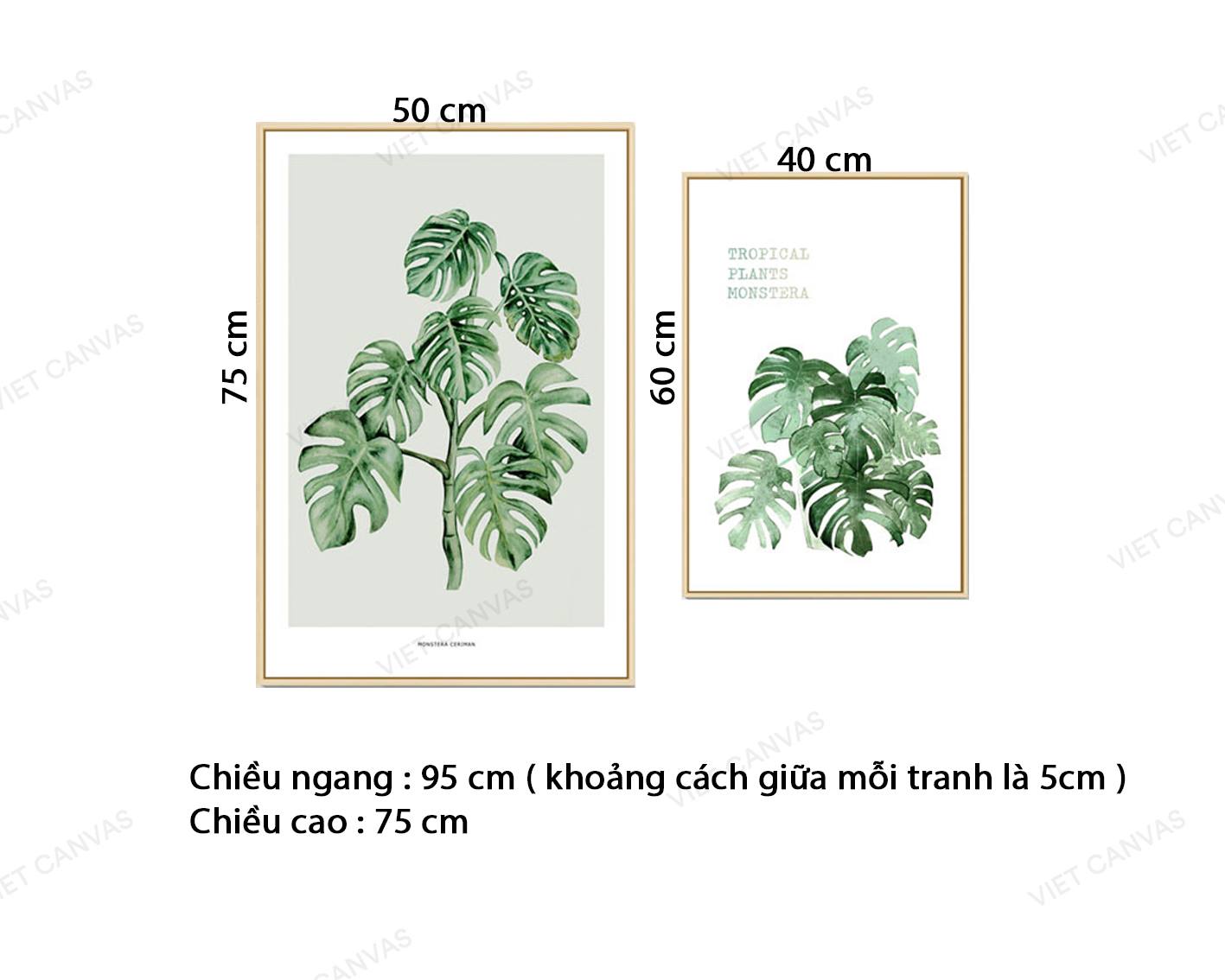 Bộ 2 Tranh Cây Monstera - VZ874.2