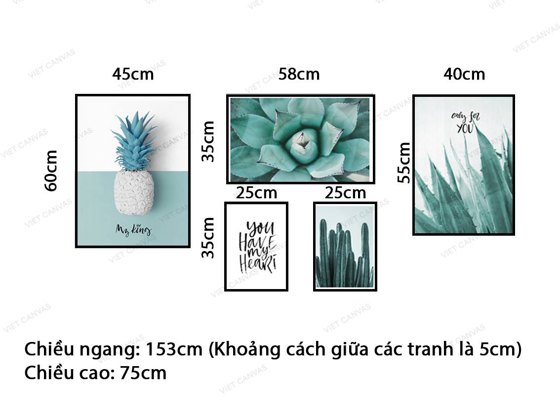 Bộ 5 Tranh Dứa, Sen Đá, Xương Rồng, Nha Đam Và Quotes - VZ081