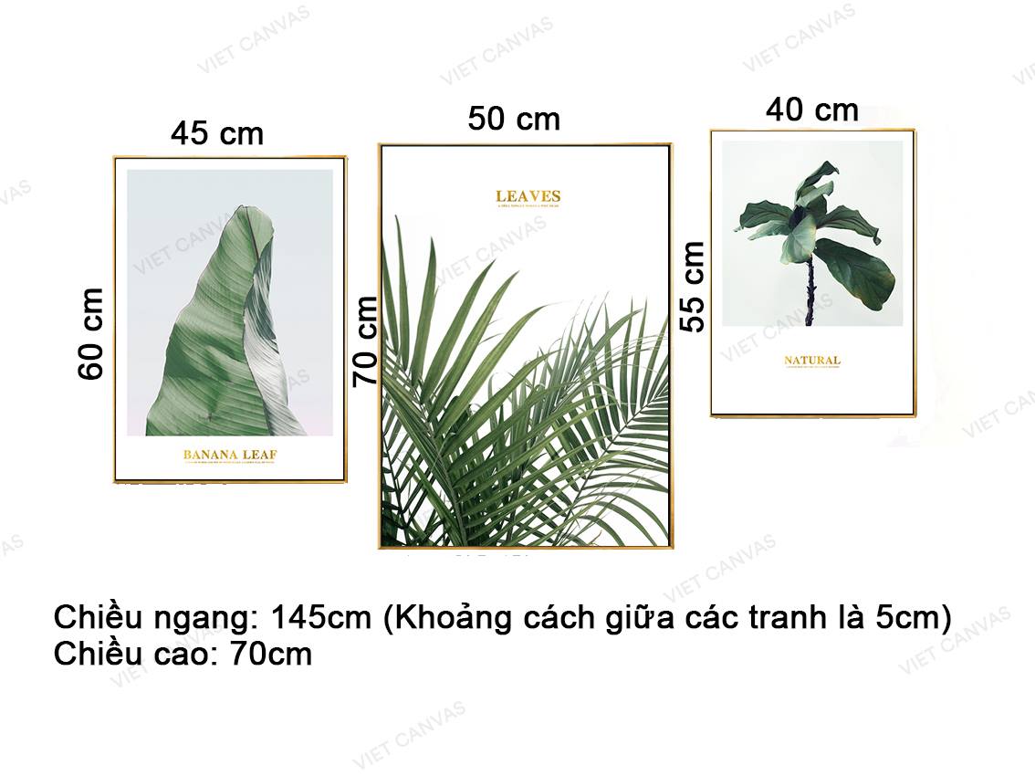 Bộ 3 Tranh Lá Cây Sinh Động - VZ052.2